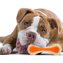 Bacon Scented Dental Bone Chew Toy – Small